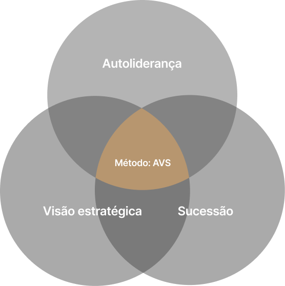 Diagrama das 3 esferas do método Líder Master: Autoliderança, Visão estratégica e Sucessão, com o método AVS na interseção